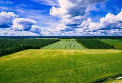 Ринок сільськогосподарських земель у серпні 2026 року зазнав найрізкішого сповільнення з початку року