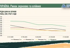 Підсумки серпня на ринку зернових та олійних