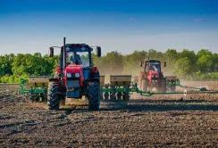 Аграрії засіяли озимими 2,61 млн га
