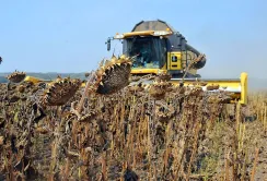 Зібрано 43,05 млн тонн урожаю: найбільший тижневий приріст забезпечив соняшник
