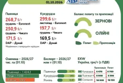 Тренди на ринку зернових та олійних з 25 вересня по 1 жовтня