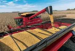 У вересні Україна експортувала лише 46% від потенційного обсягу агроекспорту