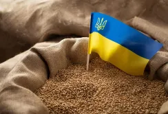 Зростання перевезень Дунаєм та черги на західному кордоні: підсумки агроекспорту за вересень