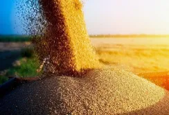 Експорт агропродукції у жовтні зріс на 4,8%