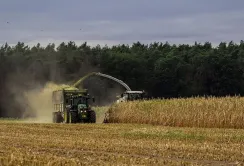 Мінагрополітики знизить критерії для критично важливих агропідприємств