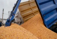 Дорога логістика коштує агросектору 1,5 млрд доларів