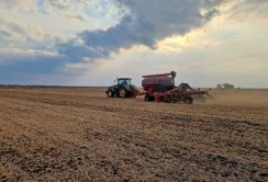 Tekom Agro Group завершив сівбу озимого ячменю