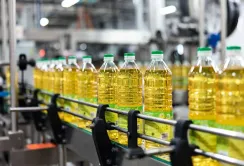 Експорт рослинної олії отримає тимчасовий пріоритет