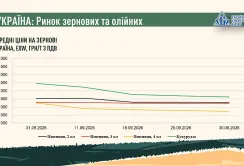 Підсумки вересня на ринку зернових та олійних