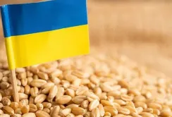 Україна попередила про ризики викрадення зерна росією