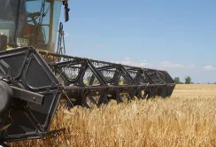 Українські аграрії зібрали 46,25 млн тонн урожаю