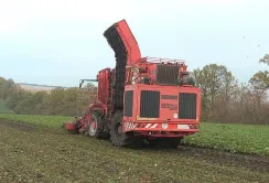 На Вінниччині працюють усі п'ять цукрових заводів
