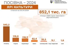 Посівна-2024: на Одещині закінчили сіяти ранні зернові та зернобобові