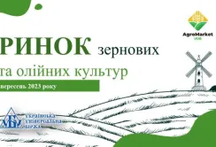 Підсумки вересня на ринку зернових та олійних