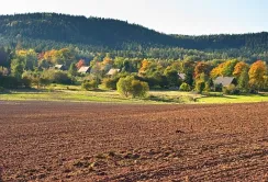 ФДМУ виставить на аукціон перші 100 тис. га сільгоспземель, що належали НААН