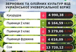 Цінові індикативи зернових та олійних за 10-16 жовтня