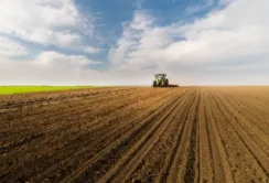 Сингента профінансує сільгоспвиробників під аграрні розписки