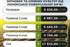 Ціни на зернові та олійні залишатимуться стабільними, – аналітики