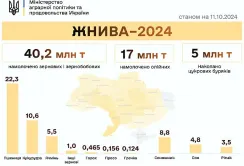 Жнива-2024: зібрано 62,2 млн тонн нового врожаю