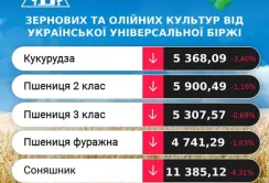 Аналітики очікують ще більшого розриву цін між продовольчим та фуражним зерном