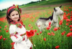 Українськиї аграрії конкурентні тільки там, де мають унікальні умови