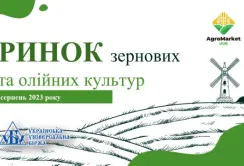 Підсумки серпня на ринку зернових та олійних