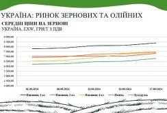 Аналітичний звіт від AgroMarket UUB: ринок зернових та олійних у вересні