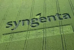 Syngenta інвестувала $ 240 млн в заводи Бразилії та Швейцарії