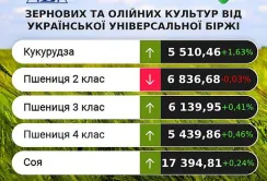 Погодні умови на росії та в Чорноморському регіоні сприяли спекулятивному росту цін на зернові