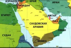 Катар перейде на самозабезпечення овочами через 5 років