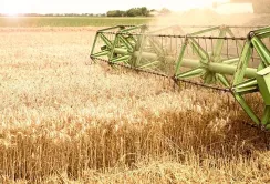 Мінекономіки підписало наказ про виділення 150 млн грн для аграріїв