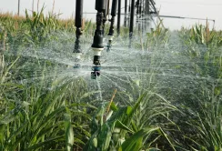 Збереження води: цифрові рішення в умовах зміни клімату
