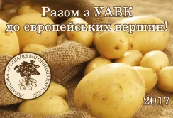 Асоціація виробників картоплі шукає ринки збуту в сусідніх країнах