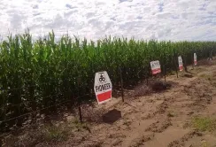 DuPont Pioneer залучає Україну до найбільшої дослідної мережі Європи