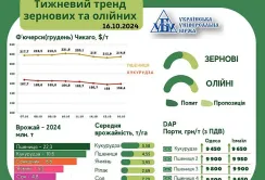 Тренди ринку зернових та олійних – аналіз