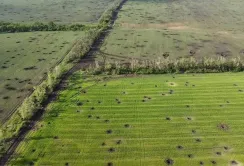 Україна втратила близько 20 % площ орних земель