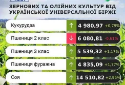 Ціни на кукурудзу продовжують зростати