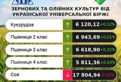 Ціни на кукурудзу та соняшник продемонстрували незначне підвищення, – аналітики