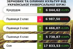 На ринку зернових та олійних минулого тижня спостерігалося зниження ділової активності, – аналітики