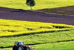 В ДАР закінчили приймати заявки на субсидії на 1 га сільгоспугідь для аграріїв з деокупованих територій
