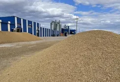 За першу половину 2023/24 МР Україна експортувала 31 млн тонн агропродукції