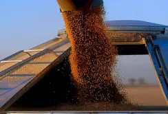 До кінця 2023/2024 МР Україна має експортувати майже 40 млн т агропродукції, – Денис Марчук