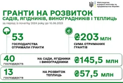 За програмою єРобота з початку року виплатили 203 млн грн