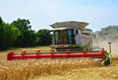 Головні аграрні новини тижня, 7-11 серпня 2017