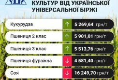 Цінові індикативи зернових та олійних за 21-27 серпня