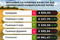 Ціни на пшеницю 2 і 3 класу почали зростати