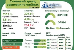 Тренди на ринку зернових та олійних культур з 23 грудня по 1 січня