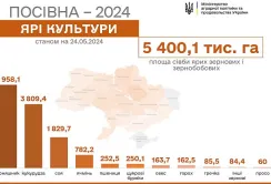 Весняна посівна закінчується: залишилось засіяти менше 4% площ