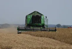 Завершується збирання ранніх зернових: є рекорди