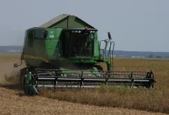 Гороху зібрано найбільше за останні 15 років